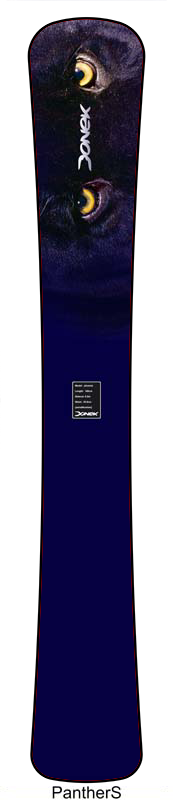 Voyager Custom Snowboard