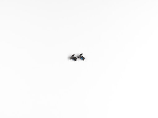 Deeluxe Screw for Tooth Plates