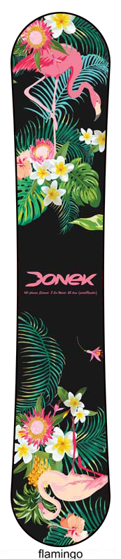 Transition Custom Snowboard